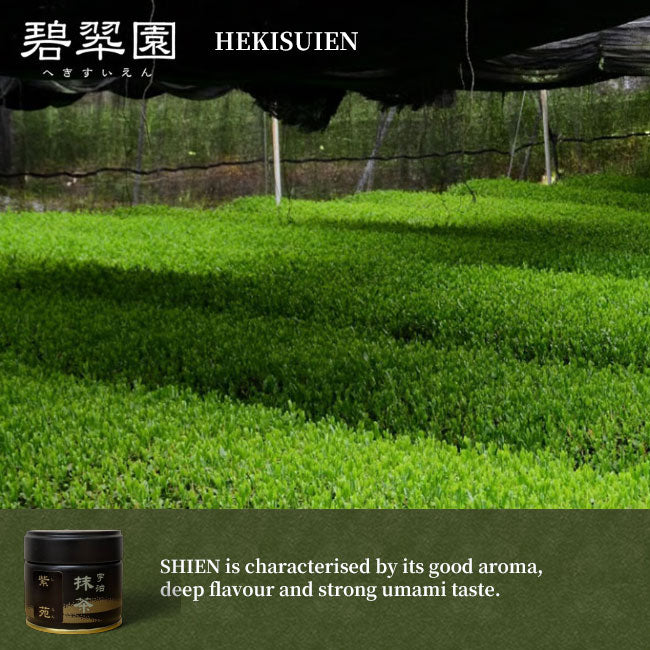 HEKISUIEN Matcha green tea powder Ceremonial Grade SHIEN 30g can